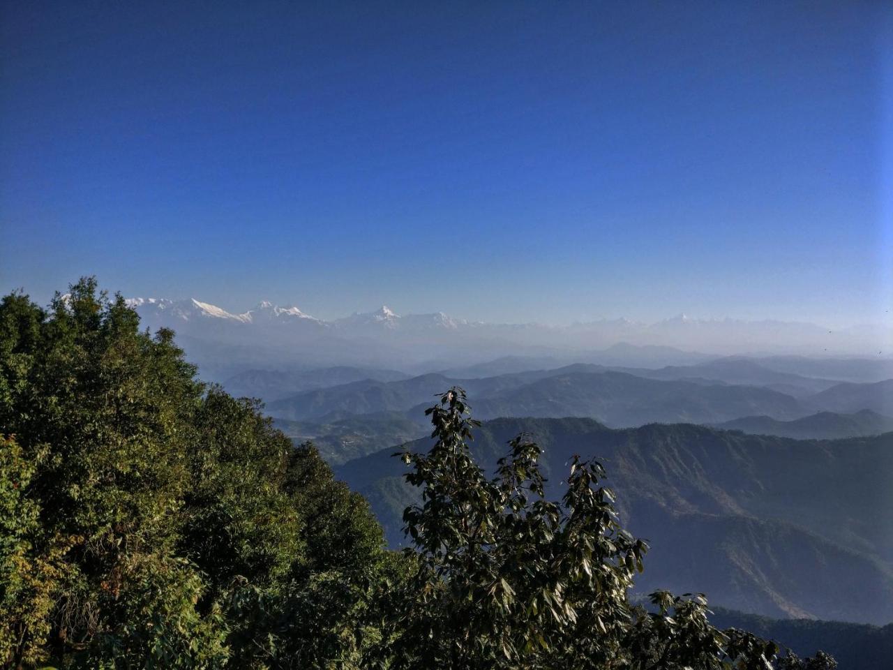 Simba Cafe & Lodge Binsar Buitenkant foto