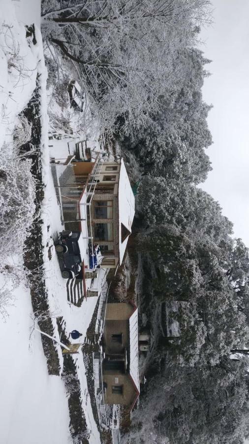 Simba Cafe & Lodge Binsar Buitenkant foto